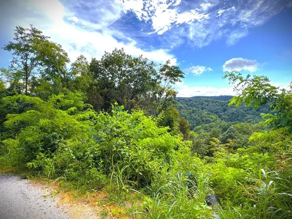 142 Sunfish lane, Hilham, TN 38568
