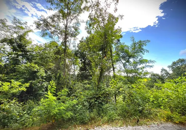 142 Sunfish lane, Hilham, TN 38568