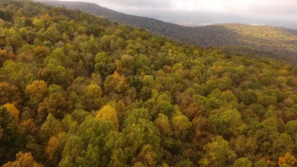0 Clouse Hill Rd, Pelham, TN 37366
