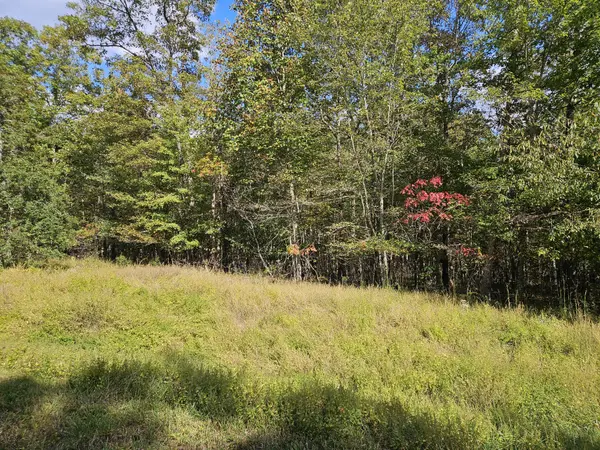 0 Holly Lane, Spencer, TN 38585