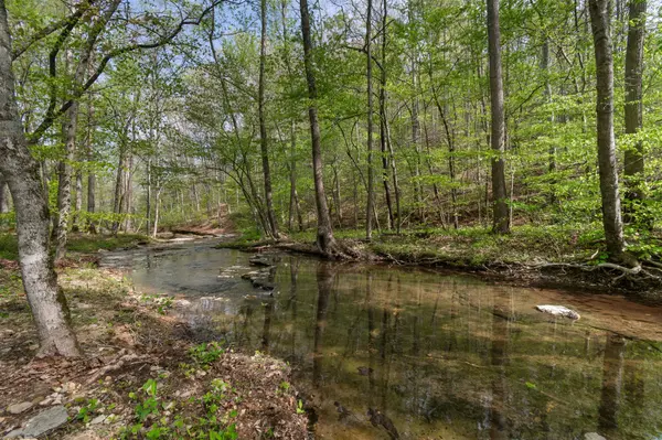 202 Ravenridge Rd, Summertown, TN 38483