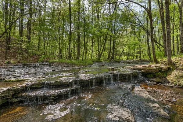 202 Ravenridge Rd, Summertown, TN 38483