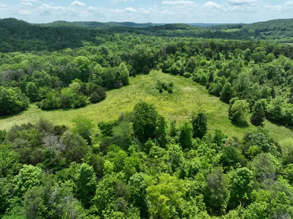 0 Moore Hollow Rd, Prospect, TN 38477