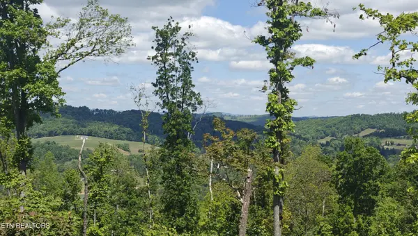 0 Lake Lane, New Tazewell, TN 37825