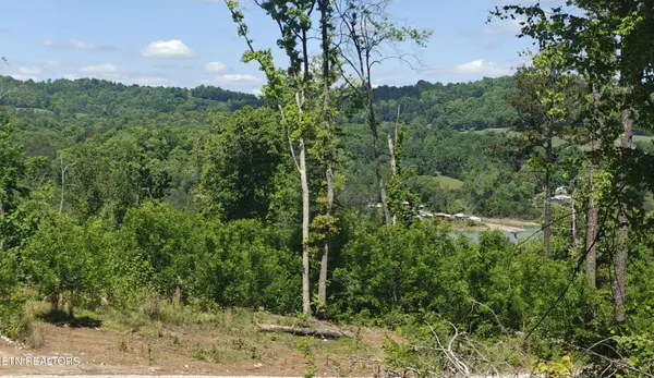 0 Lake Lane, New Tazewell, TN 37825