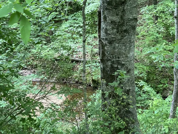 0 Clay Lick Rd, Whites Creek, TN 37189