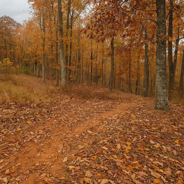 0 Overlook Trl, Stewart, TN 37175