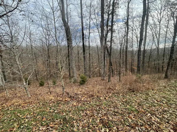 0 Stonebrook Drive, Mc Ewen, TN 37101