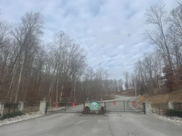 0 Stonebrook Drive, Mc Ewen, TN 37101