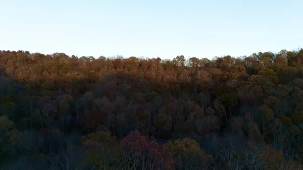 0 Rock Springs Rd, Celina, TN 38551