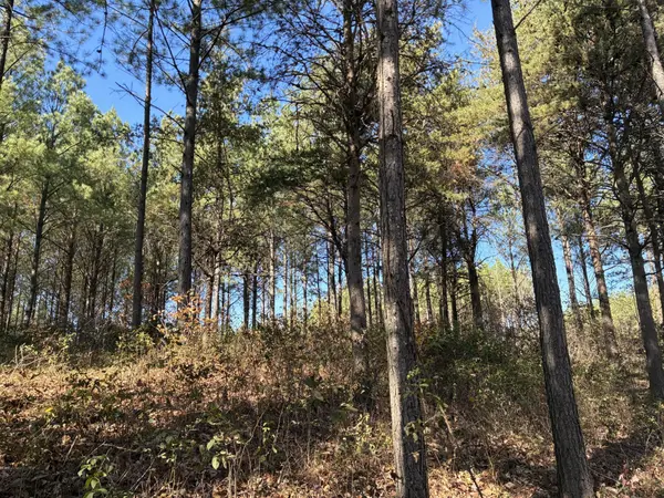 4690 Split Rail Way, Guild, TN 37340