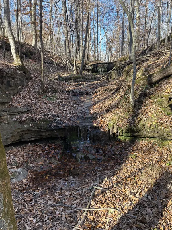 0 Pigpen Hollow Rd, Waynesboro, TN 38485