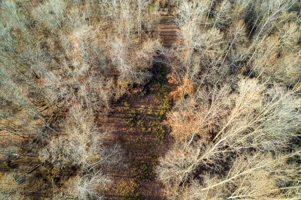 0 Hellsneck Lane, Waverly, TN 37185