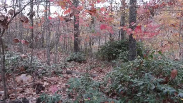 0 Drew Court, Smithville, TN 37166