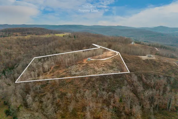 431 Bald Knob Cummings cove roads, Doyle, TN 38559