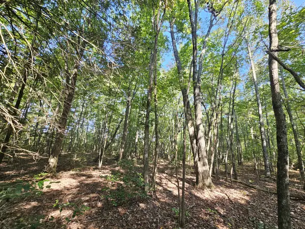 0 SR 108, Gruetli Laager, TN 37339