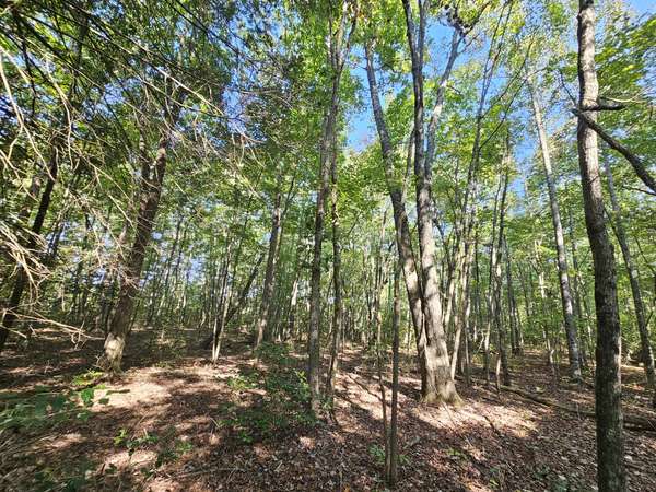 0 SR 108, Gruetli Laager, TN 37339