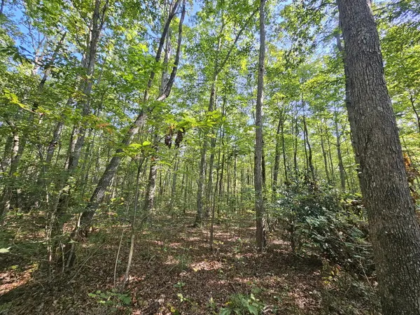 0 SR 108, Gruetli Laager, TN 37339