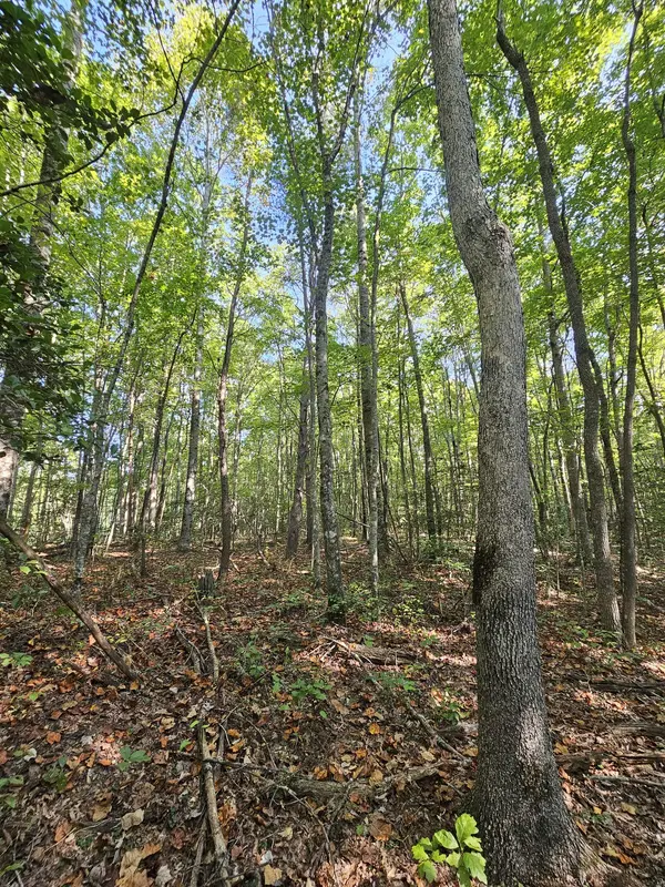 0 SR 108, Gruetli Laager, TN 37339