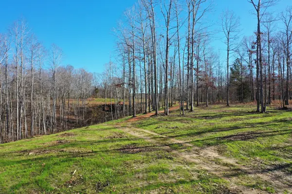 0 Bell Branch Road, Nunnelly, TN 37137