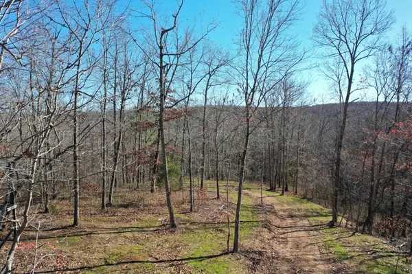 0 Bell Branch Road, Nunnelly, TN 37137