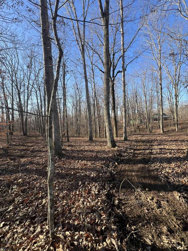 151 Kimberly Rd, Hohenwald, TN 38462