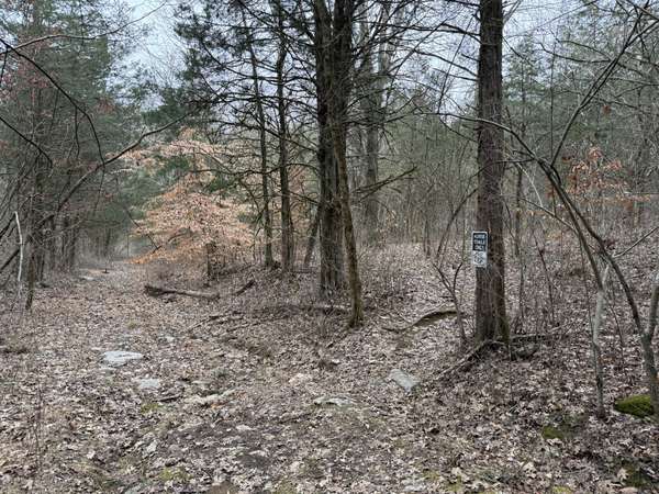 0 Cook Ln, Gainesboro, TN 38562