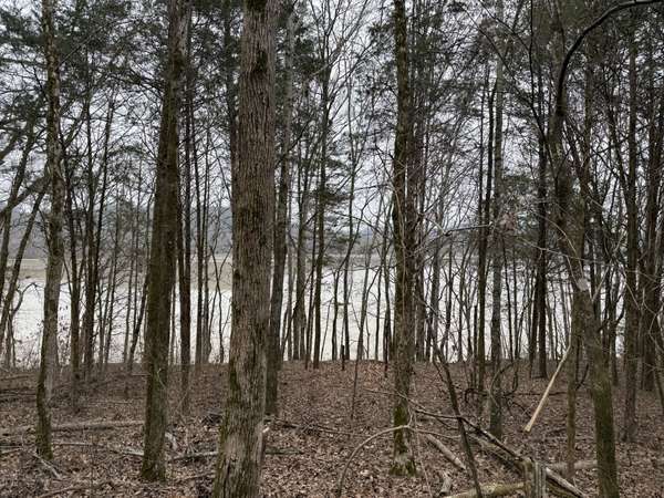 0 Cook Ln, Gainesboro, TN 38562