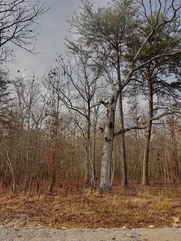0 Summerfield Road, Monteagle, TN 37356
