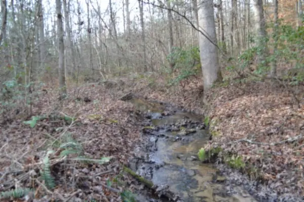 0 Shotgun Annie Rd, Jamestown, TN 38556