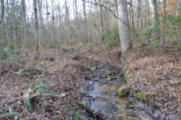 0 Shotgun Annie Rd, Jamestown, TN 38556