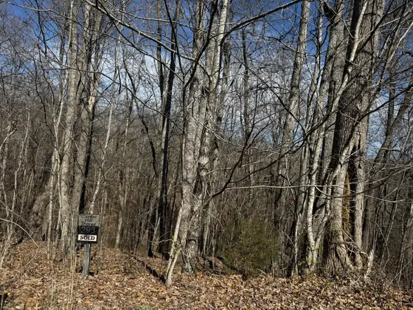 0 Dakota Ln, Smithville, TN 37166