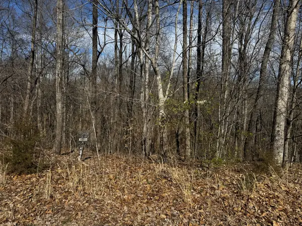 0 Dakota Ln, Smithville, TN 37166
