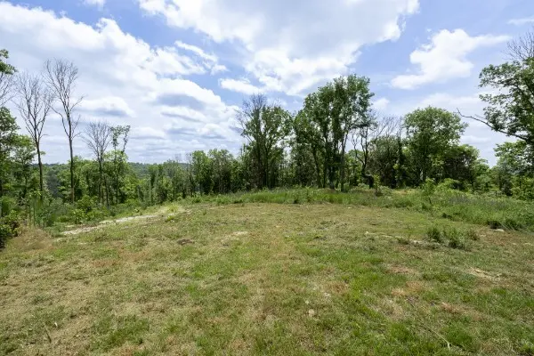 0 Goose Branch Rd, Lynchburg, TN 37352