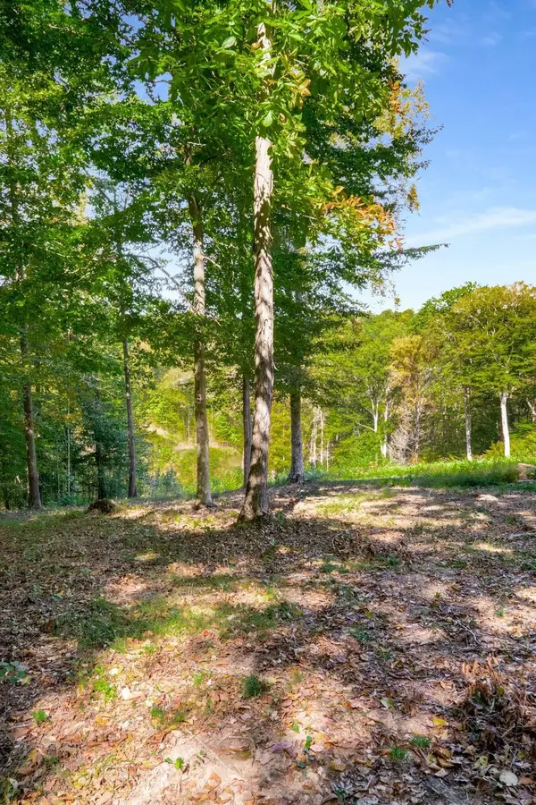 5436 Parker Branch Rd, Franklin, TN 37064