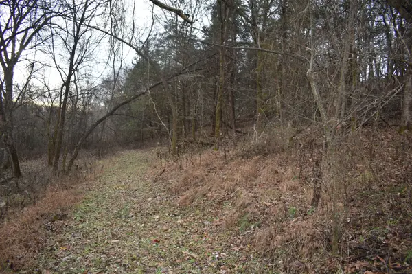256 Maggart Rd, Elmwood, TN 38560