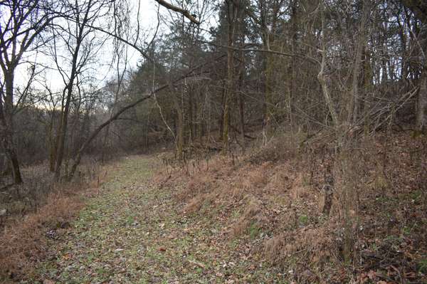 256 Maggart Rd, Elmwood, TN 38560