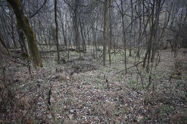 256 Maggart Rd, Elmwood, TN 38560
