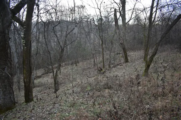 256 Maggart Rd, Elmwood, TN 38560
