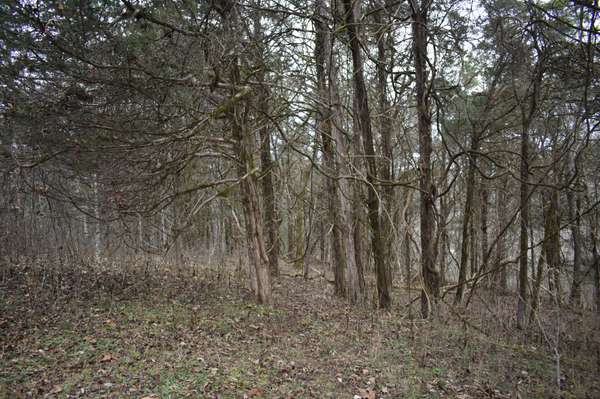 256 Maggart Rd, Elmwood, TN 38560