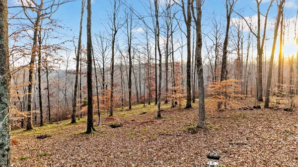 100 Waynoe Road, Ashland City, TN 37015