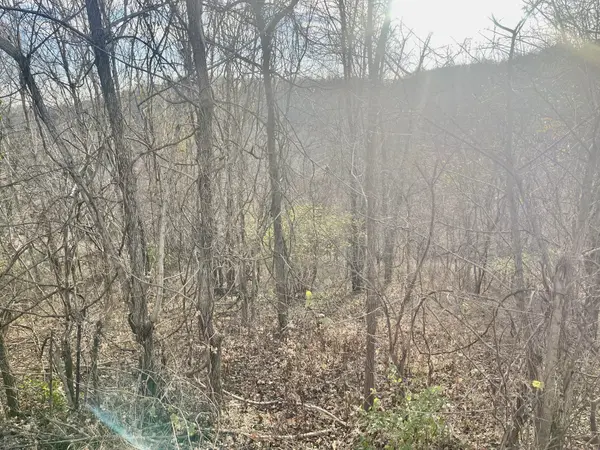 0 Old Lake Road, Lewisburg, TN 37091