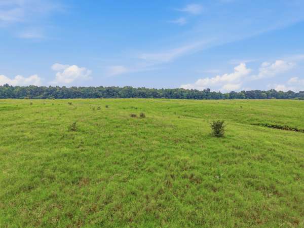46 Caps rd, Indian Mound, TN 37079