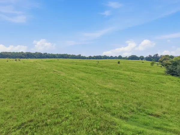 46 Caps rd, Indian Mound, TN 37079