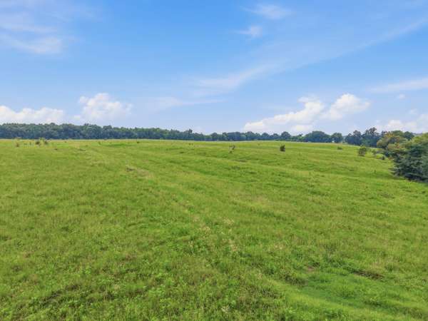 46 Caps rd, Indian Mound, TN 37079