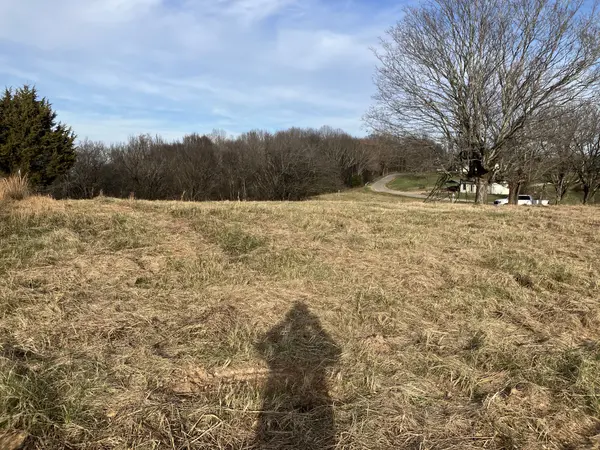 1 Diana Ridge RD, Pulaski, TN 38478