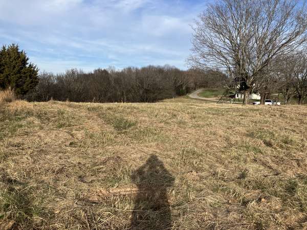 1 Diana Ridge RD, Pulaski, TN 38478