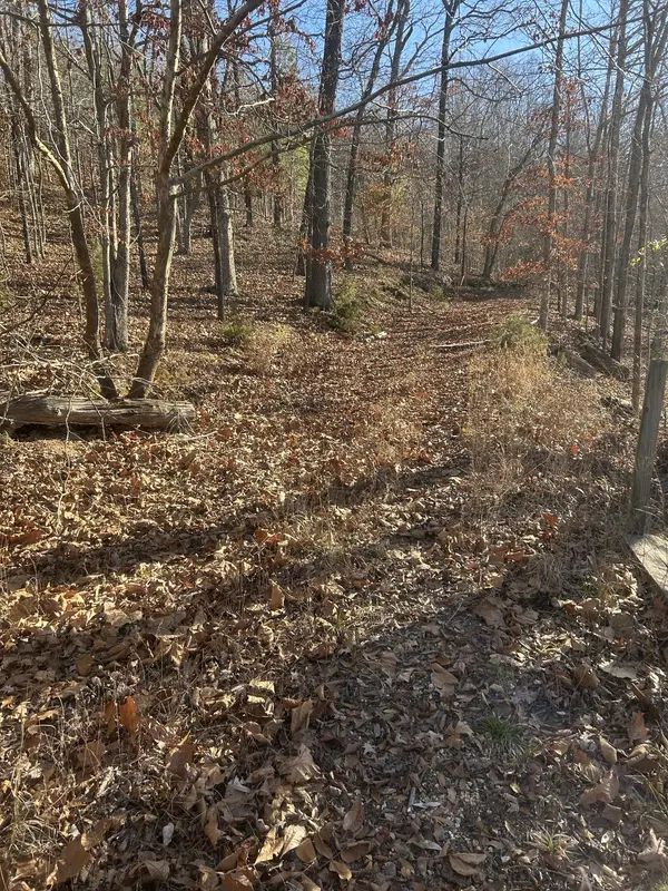 0 Davis N Lake Access Rd, Camden, TN 38320