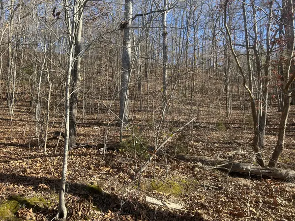 0 Davis N Lake Access Rd, Camden, TN 38320