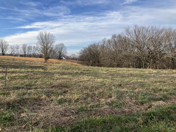 2 Diana Ridge RD, Pulaski, TN 38478
